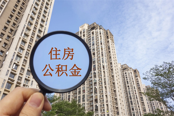 桐城个人公积金去哪儿取（住房公积金个人到哪里提取）